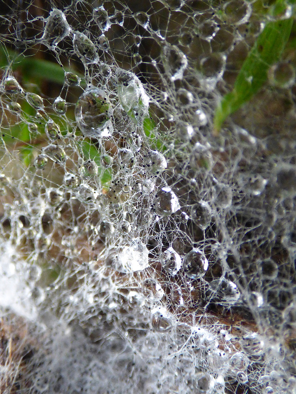 Joli voyage incongru